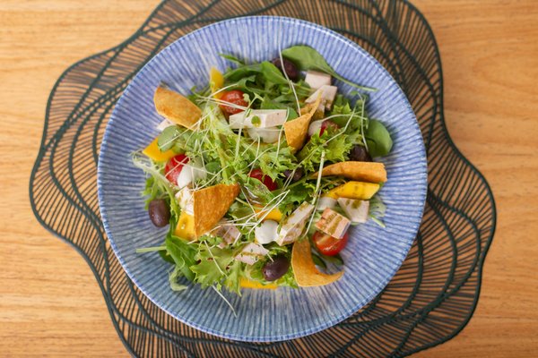 Discover the Ultimate Fruit Dehydrator for Crafting Delicious Homemade Snacks!